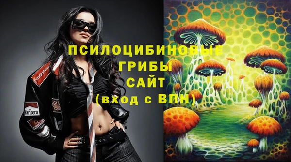 a pvp Белокуриха
