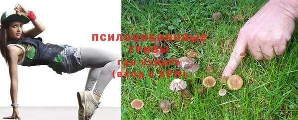 a pvp Белокуриха