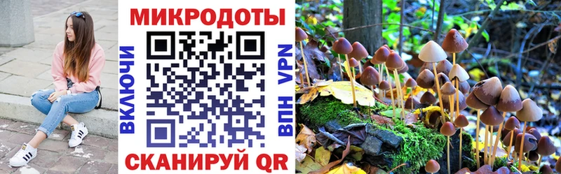 Псилоцибиновые грибы Cubensis  купить   hydra tor  Юрьев-Польский 